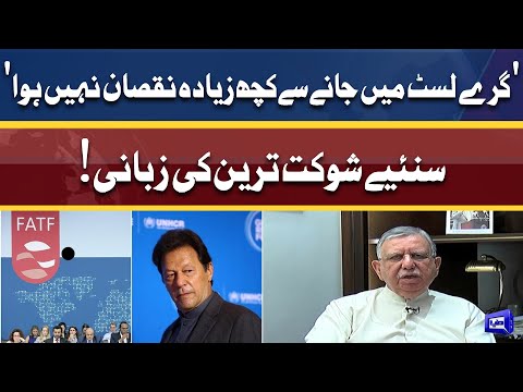 'Grey List Me Janay Se Pakistan Ko Zyada Nuqsan Nahi Huwa' | Shaukat Tareen