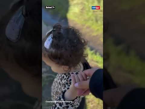 Priyanka Chopra Jonas Shares Glimpses Of Daughter Maltis First Hike