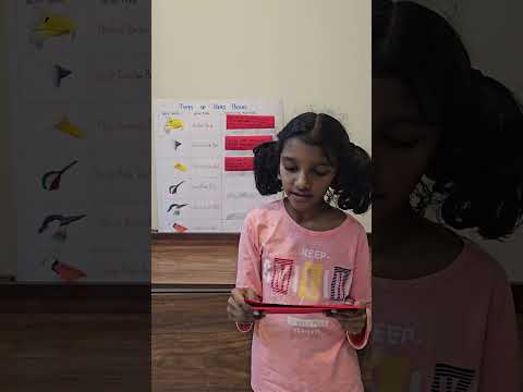 Types of Bird Beaks – School Project #shortvideo #beaks #schoolproject