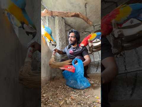 রোজা রেখে কাজ করতে দিতে চায়না আমার পাখি গুলা #doggosage