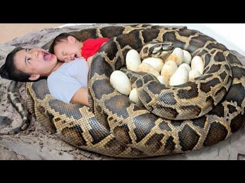 Harvesting agricultural products and taking them to the market for sale - Gardening