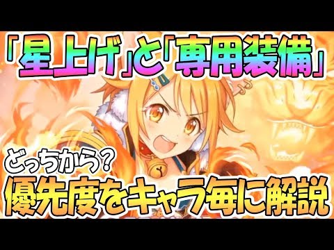 【プリコネR】星上げと専用装備の優先度について解説！【プリンセスコネクト！Re:Dive / 実況】