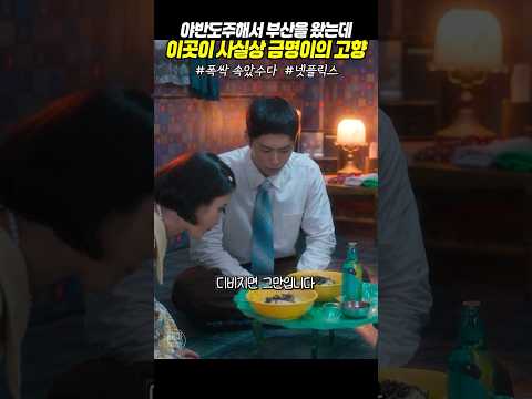 ▶부산 인심예, 직입니다. 삐끼지 마이소  #폭싹속았수다 #아이유 #박보검