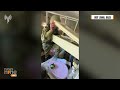 Exclusive: IDF Releases Footage of Raid on Northern Gaza Hospital: Allegations of Hamas Compound | - 02:04 min - News - Video