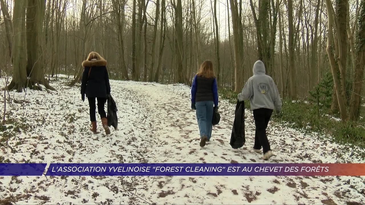 Yvelines | L’association yvelinoise Forest Cleaning est au chevet des forêts