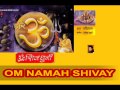 Om Namah Shivay Dhun By Hariharan I Full Audio Song Juke Box