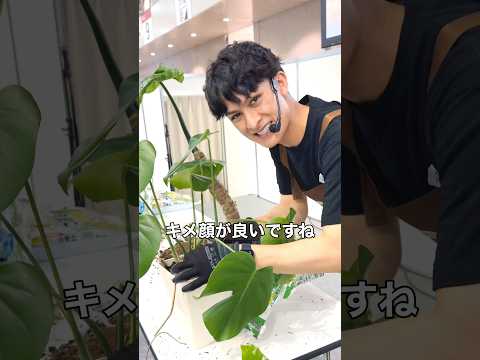 モンステラの育て方🌱花友フェス特別版🌸｜そらベジ🥝ガーデンハック