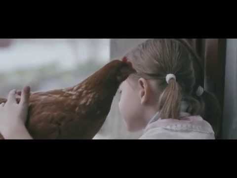 The Chicken'