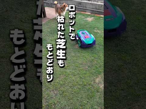 ロボットが庭を作る時代になりました