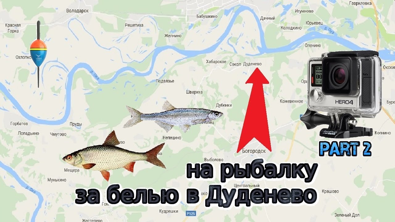 Ловля судака на Оке Дуденево