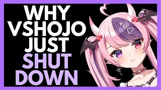 VShojo Agency Closing, VTubers React