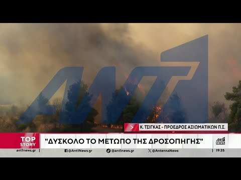 Φωτιά στο Κρυονέρι Αττικής: Τα νεότερα από το πύρινο μέτωπο