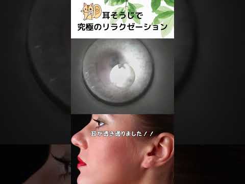 【耳掃除】耳が透き通りました！！ #イヤーエステ #耳そうじ #eariss #イヤーエステ #耳そうじ #プロの技術