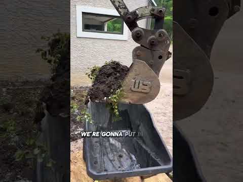 @CoyotePeterson Gets A Pond For His Snapping Turtl We are at the one and only @coyotepeterson house to build his baby snapping turtle a pond! 🐢 Bein