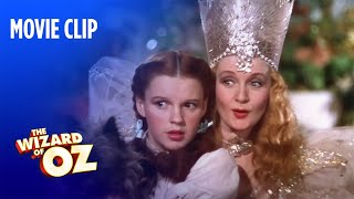 The Wizard of Oz | 75th Anniversary "I'll Get You My Pretty" | Warner Bros. Entertainment