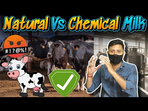 Natural Vs Chemical Milk | Chemical Ka Doodh Mil raha hai India me | Doodh me milaawat Kese Hota h