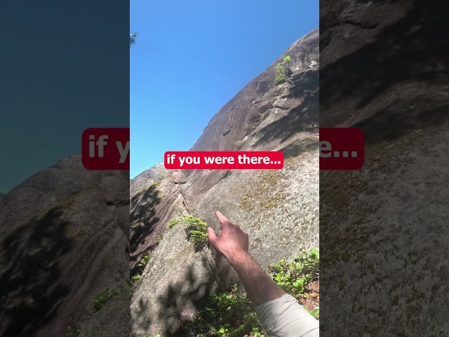 I did NOT think this would work...