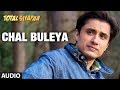 Chal Buleya Total Siyapaa Full Song (Audio) | Ali Zafar, Yaami Gautam, Anupam Kher, Kirron Kher
