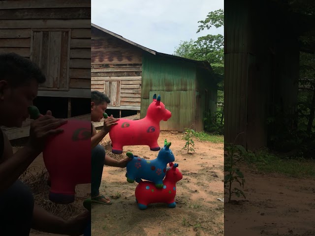 🎋🎋🎋 Relaxing Goats Colors 🐐🐐🥭🥭🥭💤 #shortfeedshort