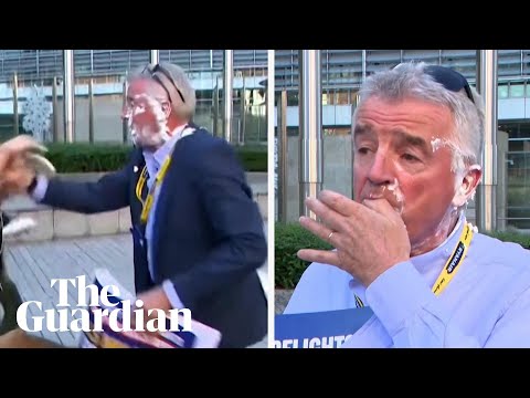 'It's delicious': Ryanair boss hit with cream cake in climate protest