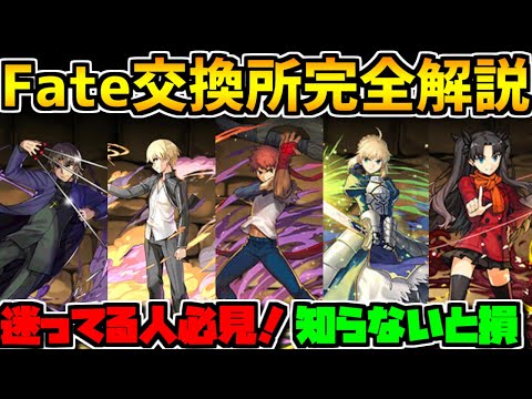 Fateコラボ交換所解説！迷ってる人必見！知らないと損！桜は購入しよう！【パズドラ】