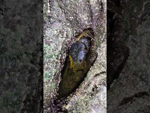 いのちをつなぐみず(文字なし)