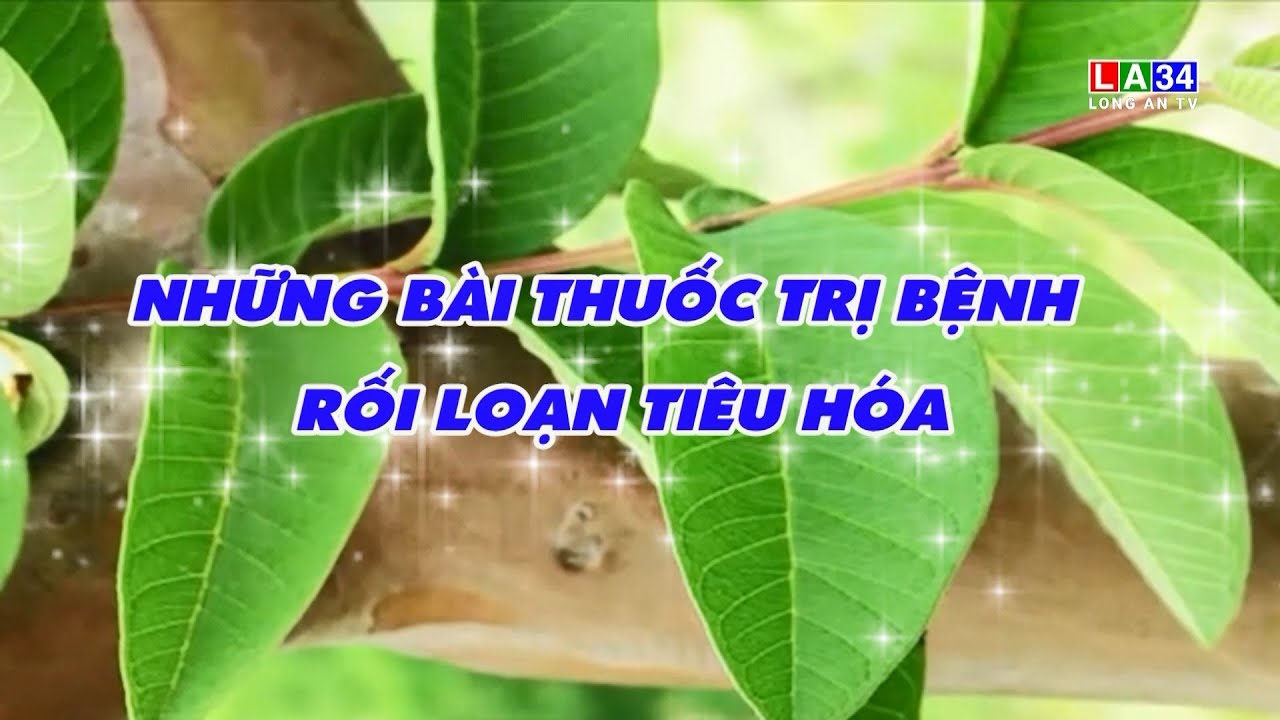 Món ăn bài thuốc: Những bài thuốc trị rối loạn tiêu hóa