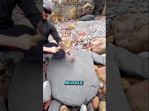 This Rock Hides Something Unreal Inside 😱 #shortsvideo