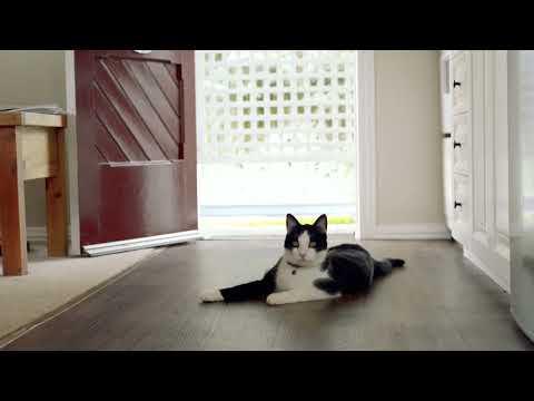 Property video