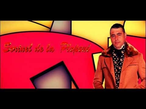2016 Muzica De Petrecerehoresarbe Si Manele Colaj Cu Sorinel De La