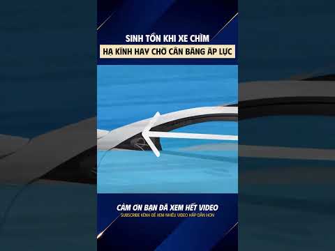 Sinh tồn khi xe chìm, hạ kính hay chờ cân bằng áp lực #antoan #tainan #xehoi #ngapnuoc