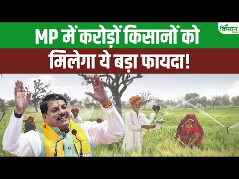 CM मोहन यादव का बड़ा ऐलान अब बीहड़ के जंगलों से किसान कमाएंगे जबरदस्त मुनाफा!। Ken Betwa Project