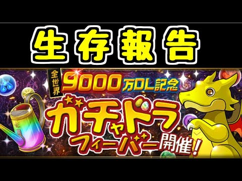 【生放送】生存報告フィーバー【パズドラ】