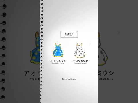 【ふしぎな生物たち】バッタリ!アオウミウシとシロウミウシ / No.004 #shorts #アニメ