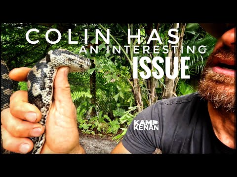 Colin and my Boa get Freedom! It's nice to take our large snakes out of their habitats every once in a while and let them roam as 
