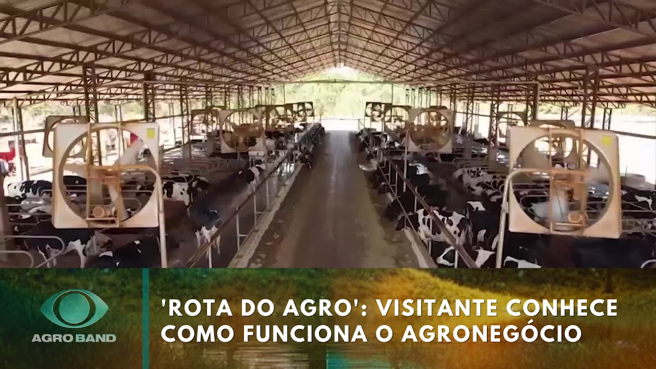 Rota do Agro visitante conhece como funciona o agronegócio em GO  TV Online Rota do Agro visitante conhece como funciona o agronegócio em GO