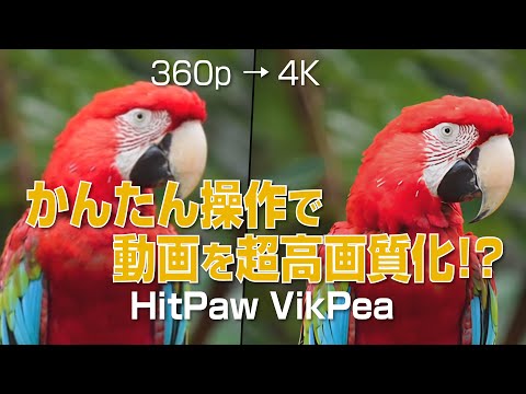 【アプリ/ソフト対応！】簡単操作で動画を超高画質化！｜HitPaw VikPea