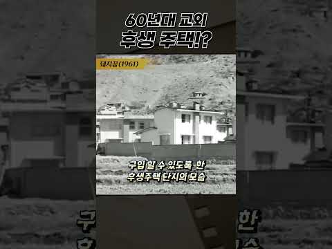 한국고전영화 돼지꿈(1961) 60년대 교외 후생 주택 단지 모습