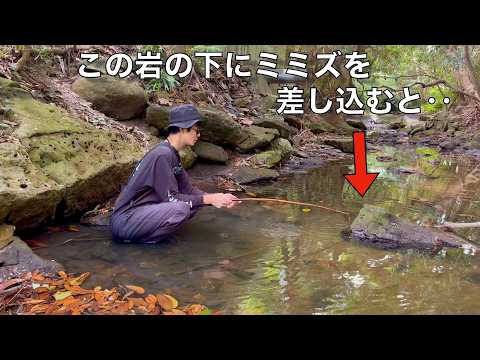 水深20センチの岩下から顔を出すウナギを穴釣りで狙ってみた結果‥