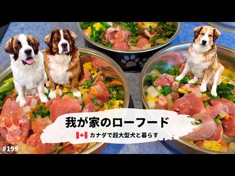 我が家のローフード（生食）【超大型犬3頭とカナダで田舎暮らし・海外生活】