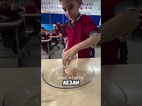 😱 ГЕНИАЛЬНЫЙ СПОСОБ ДОСТАТЬ МАНДАРИН БЕЗ КАПЛИ ВОДЫ! Ученица шокировала учителя!