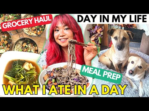 WHAT I ATE IN A DAY | Vegan Grocery Haul, Meal Prep, Day in My Life as a YouTuber