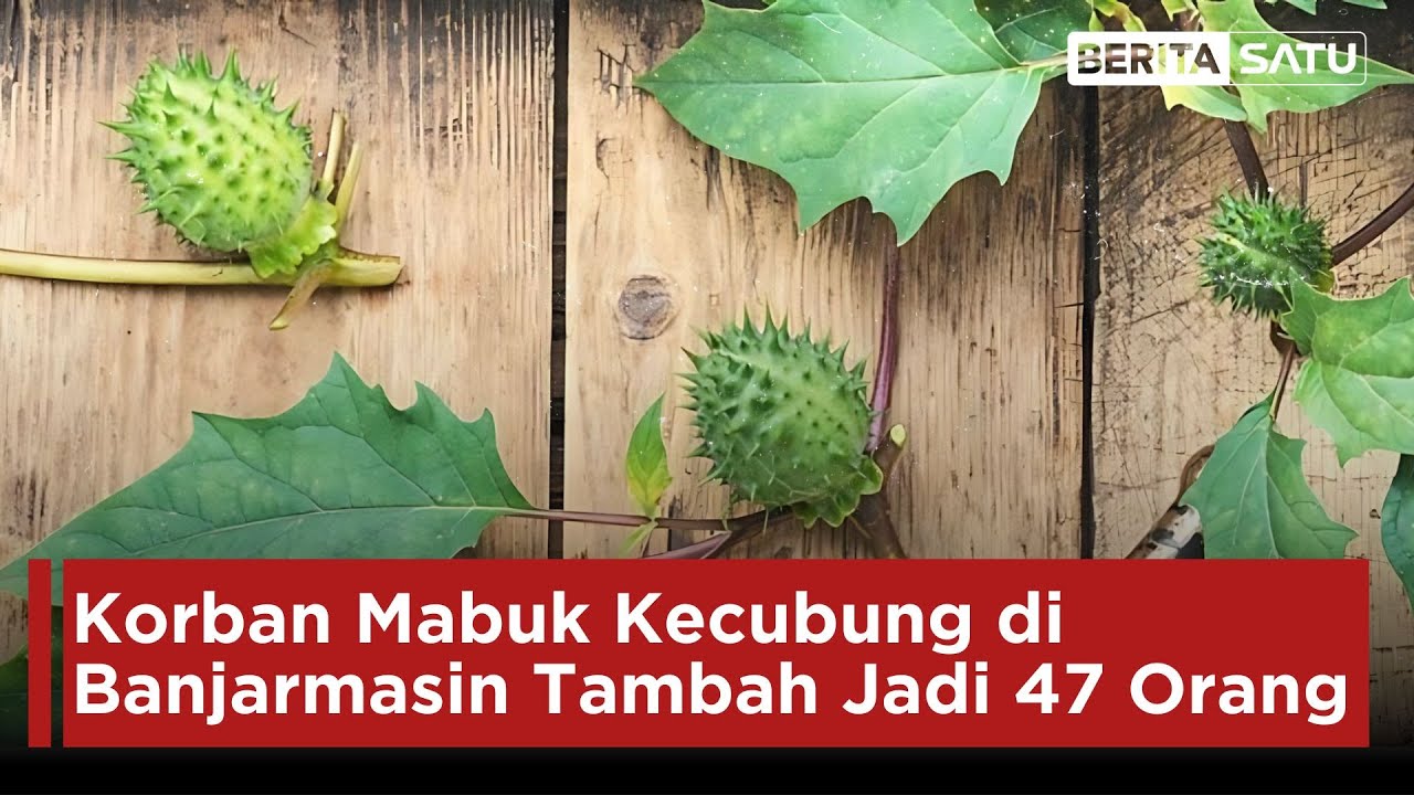Korban Mabuk Kecubung di Banjarmasin Tambah Jadi 47 Orang | Beritasatu
