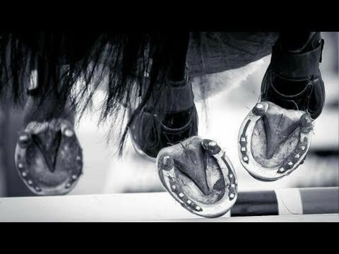 The Show Must Go On || Show Jumping Music Video