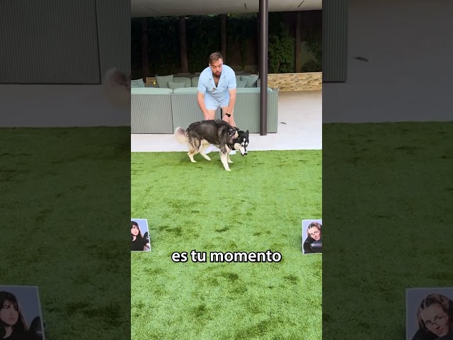 Predicción de La Velada del Año V.