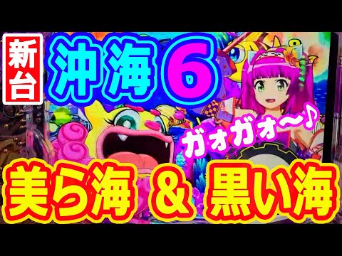 美ら海＆黒い海♪『Pスーパー海物語IN沖縄6』