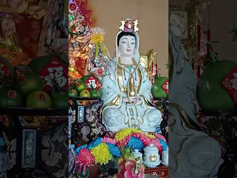 chùa Quan Âm ,Q12, #nhachaymoingay #phongthuy #bolero #shortsvideo