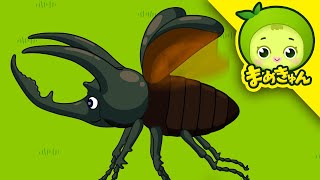 動画サムネイル