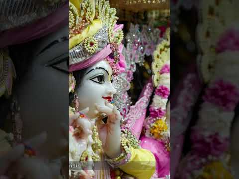 🙏 radhe 🥰 Krishna 🙏🥰 Radha 🥰 Krishna 🙏 radhe 🥰 krishna 🥰