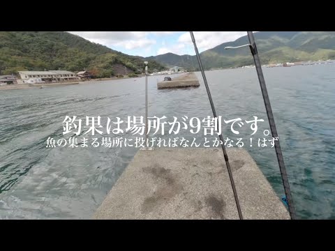 【アジング】デイの真昼間でも釣れるSUPで沖波止で釣る。カマス地獄だけど楽しい。